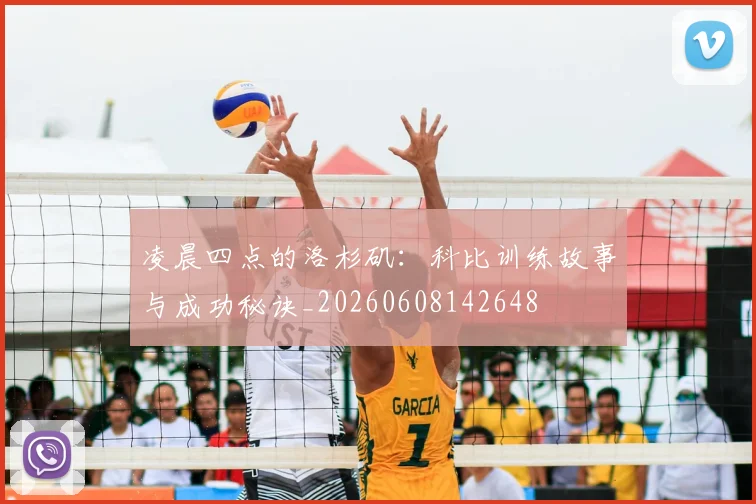 凌晨四点的洛杉矶：科比训练故事与成功秘诀_20260608142648
