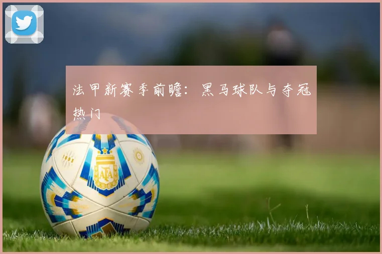 法甲新赛季前瞻:黑马球队与夺冠热门