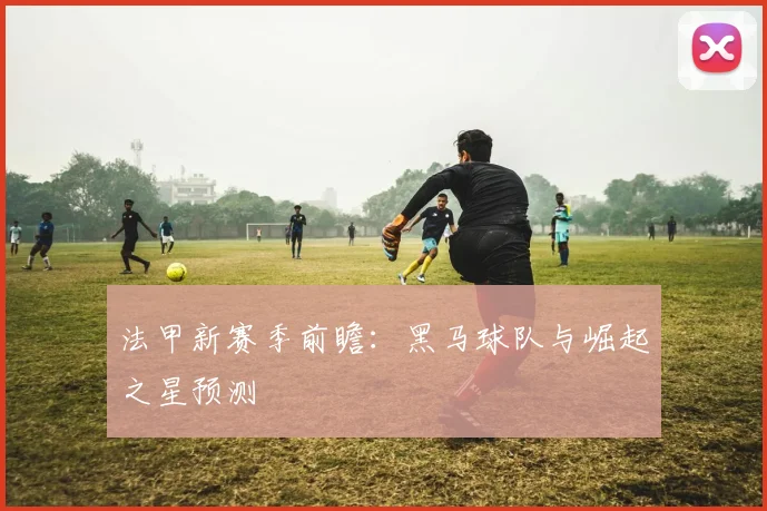 法甲新赛季前瞻：黑马球队与崛起之星预测