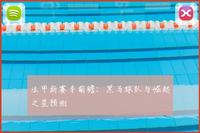 法甲新赛季前瞻:黑马球队与崛起之星预测